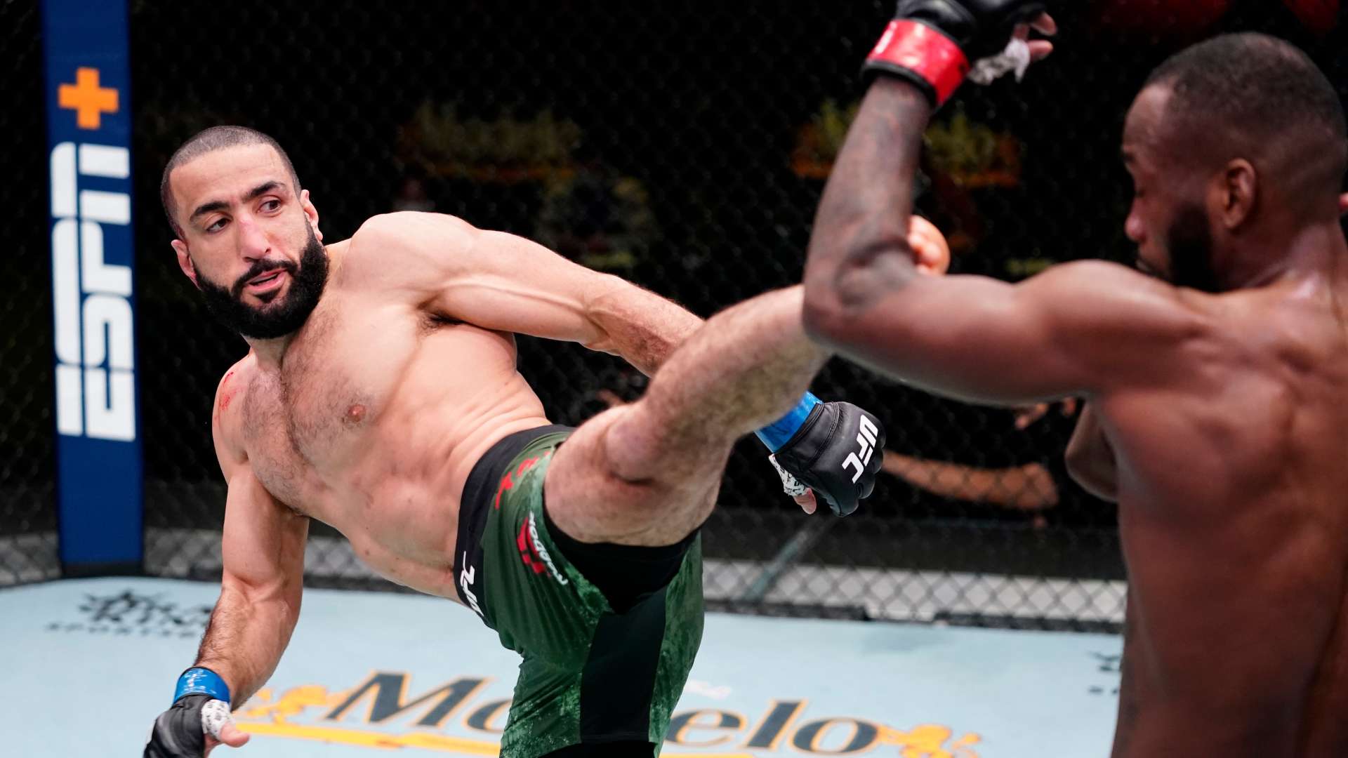 以其稳健的 以其稳健的